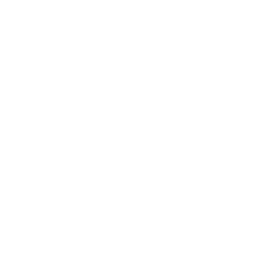 Fraunhofer IWU Institute Fraunhofer IWU Institut - Partner ofVectorbirds airborne systems